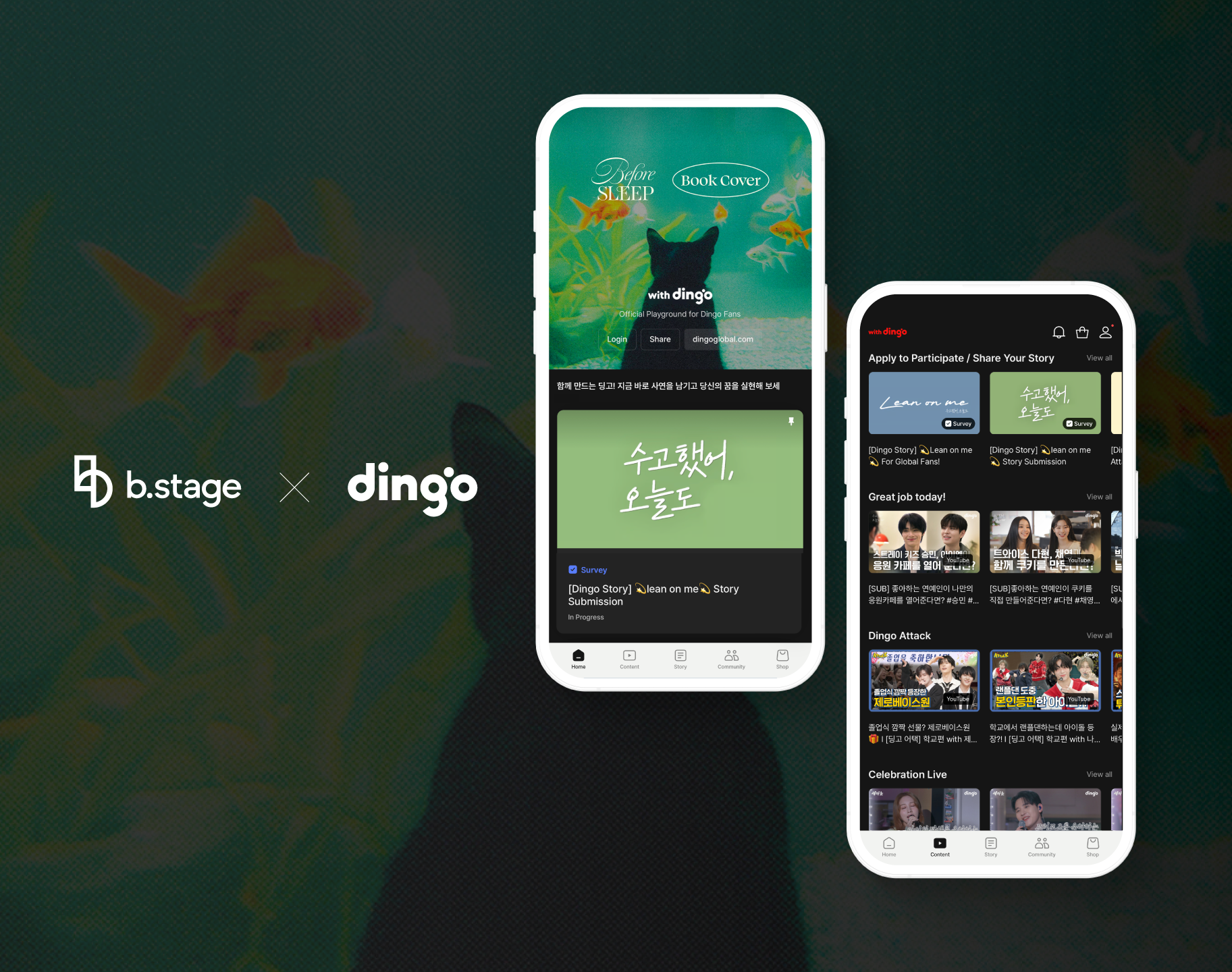 b.stage | b.stage and dingo Strengthen Music Content Fandom Business  through Fan Tech and Content Collaboration